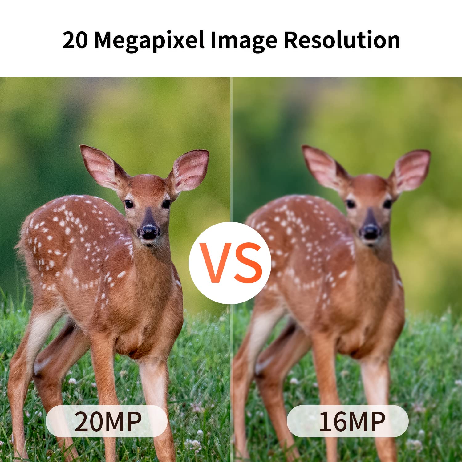 Amazon.co.jp: OUTDOOR EXPERT 20MP ミニトレイルカメラ 1080P